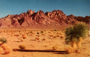 NM - Organ Mountains