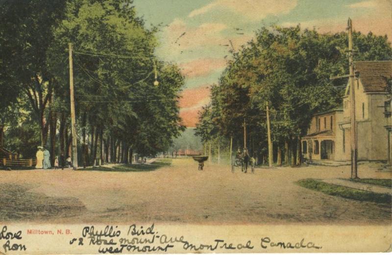 Milltown NB New Brunswick ~ Street View, St. Stephen ~ c1907 Vintage Postcard