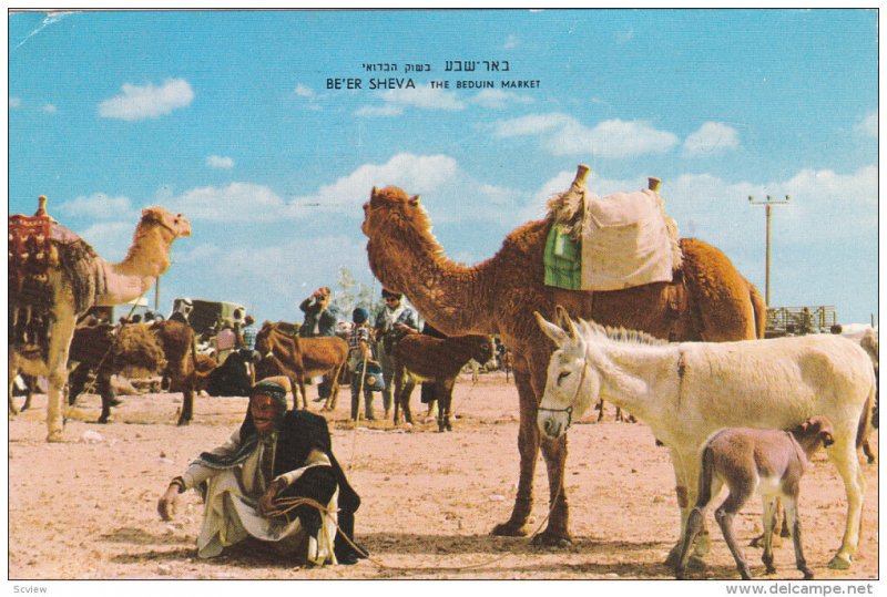 BE'ER SHEVA, Israel, PU-1997; The Beduin Market, Donkeys, Camels