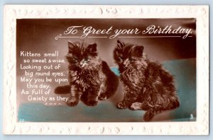 Southampton England Postcard Birthday Cat Kittens Haired Embossed Tuck c1910's