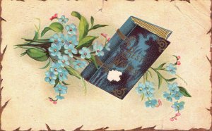 Vintage Postcard 1912 Best Wishes Greetings Card Book & Mini Blue Flowers Blooms