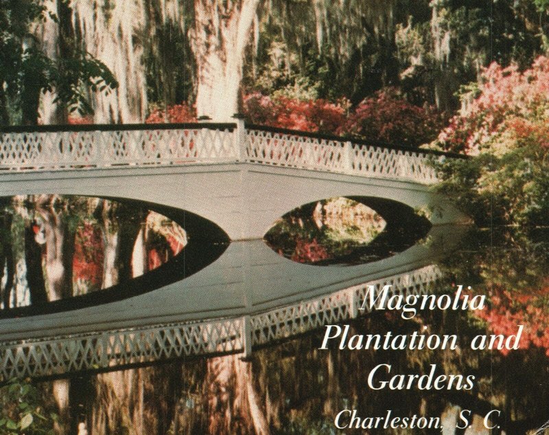 Vintage Postcard View of Magnolia Plantation and Gardens Charleston S. C.