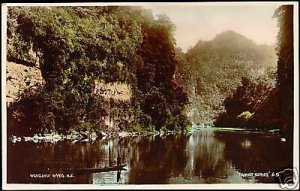 new zealand, WANGANUI, River Scene (1930s) RPPC