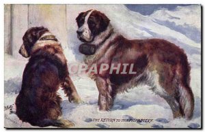 Postcard Old Dog Dogs St Bernard