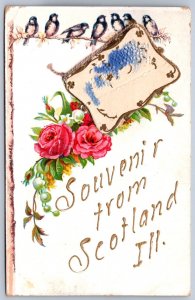 K46/ Scotland Illinois Postcard c1910 Souvenir Greetings from Scotland  3