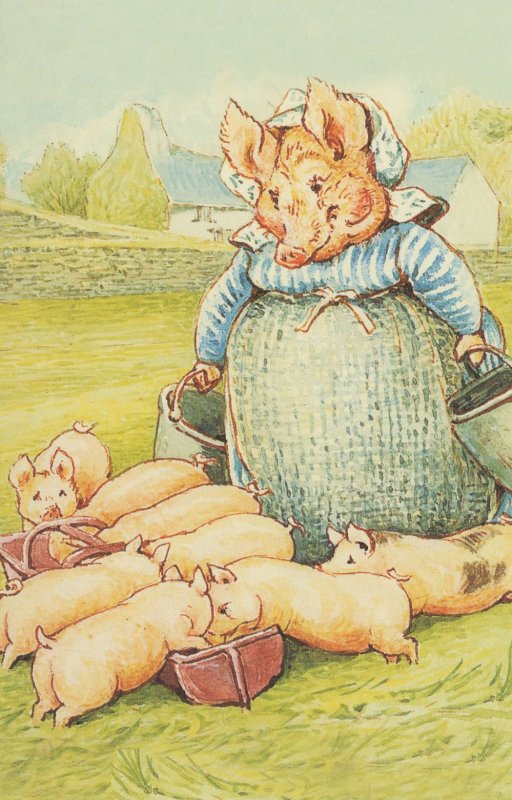 The Tale Of Pigling Bland Beatrix Potter 1913 Book Postcard
