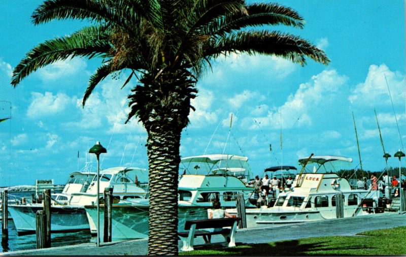 Florida Miami Beach Haulover Beach Park Marina Fishing Fleet