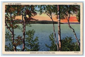 1946 Scenic View Glory Morning Gardner Lake Norwich Connecticut Vintage Postcard