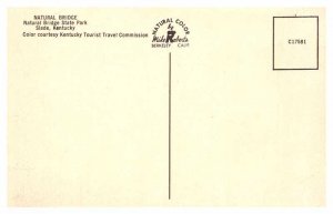 Postcard NATURE SCENE Slade Kentucky KY AS2250