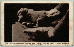 Baby Bear Cub Born In Forest Park Springfield MA UNP Geo Graves WB Postcard G2