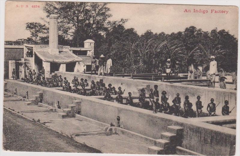 LP84     Indigo Factory, India, ??  vintage postcard