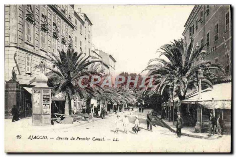 Old Postcard Ajaccio Avenue of the First Consul