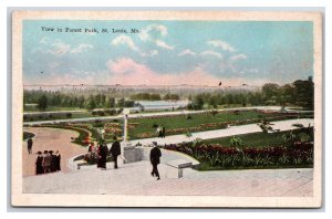 View in Forest Park St Louis Missouri MO  WB Postcard N24