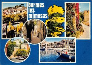 BT6551 Bormes les mimosas       France