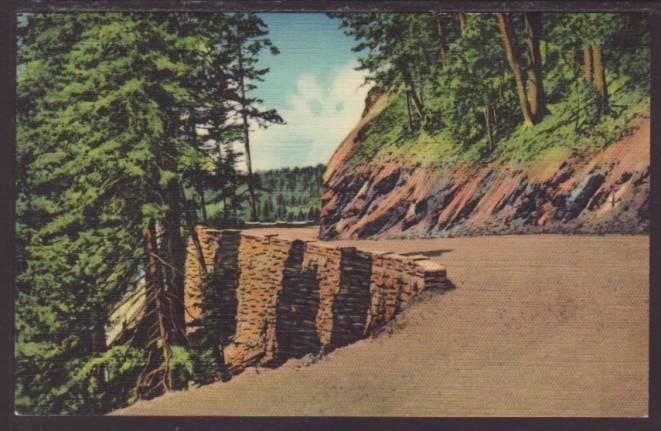 Curve on Skyline Drive,Great Smoky Mountains Postcard 