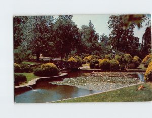 Postcard Rustic Bridge Roger Williams Park Providence Rhode Island USA