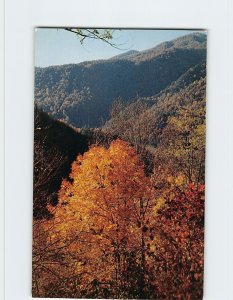 Postcard Fall Colors In The Great Smoky Mountains