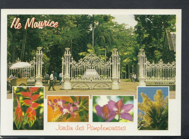 Mauritius Postcard - Pamplemousses Botanical Gardens   T9399 