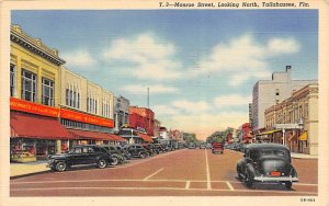 Monroe Street Looking North Tallahassee FL