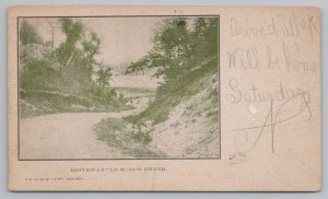 Le Sueur Minnesota~Le Sueur Creek Driveway~Curvy Road Downhill~c1905 Postcard 