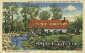 Trout Hatchery - Castalia, Ohio OH  