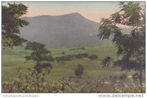 Virginia Harranetteburg Massanetta Peak From Massanetta Springs Bible Confere...