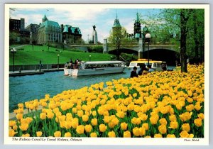 Rideau Canal Excursions, Tulips, Ottawa, Ontario, Chrome Postcard, NOS