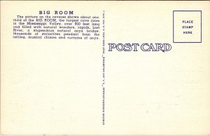 Central Big Room Onondaga Cave Leasburg MO Mississippi Valley Onyx Postcard Vtg 