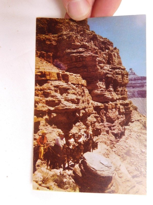 Kaibab Trail Cedar Ridge Grand Canyon, Arizona, Fred Harvey Vintage Postcard P28