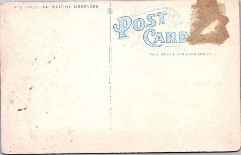 Postcard BUILDING SCENE Windsor Ontario ON AK5159