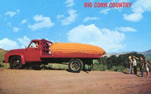 Exaggeration- Big Corn Country