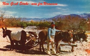 1964 New Grub Stake Now For Uranium Gold Search Into The Hills Vintage Postcard