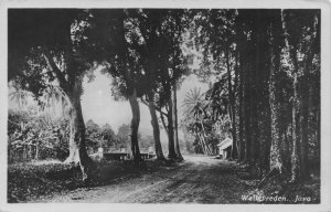 Weltevreden Java Indonesia Antique Real Photo Postcard