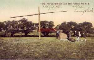 OLD FRENCH WILLOWS and WELL, GRAND PRE, NOVA SCOTIA CANADA publ by A. V. Rand