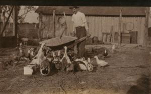 FARMER FEEDS DUCKS ANTIQUE REAL PHOTO POSTCARD RPPC