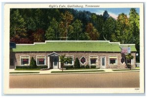 c1940's Ogle's Cafe Building Entrance Roadside Gatlinburg Tennessee TN Postcard
