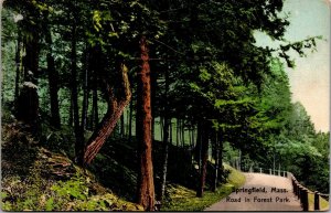 Vtg Springfield Massachusetts MA Road In Forest Park 1910s Postcard