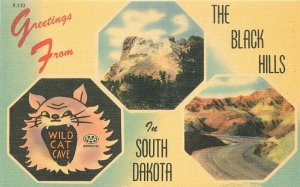 Black Hills South Dakota Shrine Wild Cat Cave 1940s Rushmore Postcard 21-14105