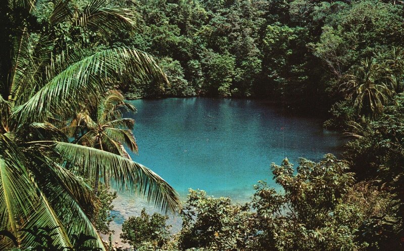 Vintage Postcard Blue Hole Port Antonio Jamaica The Novelty Trading Co. Pub. 