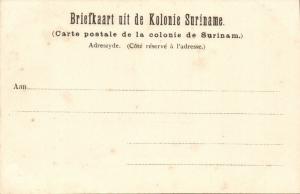 suriname, PARAMARIBO, Waterkant (1899) II