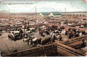 Postcard ANIMAL SCENE Chicago Illinois IL AI5241