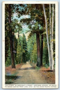 1925 Lund Utah Postcard Kaibab Presidents Forest Northern Arizona Grand Canyon