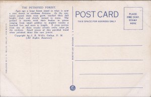 Nez by the Log. Petrified Forrest, Arizona - 