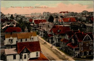 Wildwood New Jersey Homes Pine Avenue Looking East 1908 to Rancocas Postcard U7