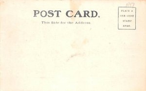 Art Picture Poughkeepsie, New York Postcard