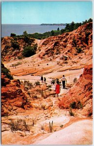 VINTAGE POSTCARD THE RED CLAY CLIFFS OVERLOOKING PENSACOLA BAY FLORIDA 1960s