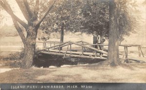 RPPC Island Park ANN ARBOR, MI Washtenaw County 1910s Antique Photo Postcard