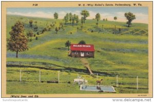 West Virginia Parkersburg W H Wig Bickel's Estate Elks Home Curteich