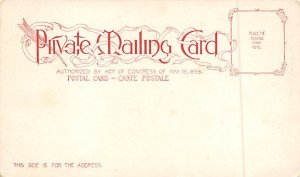 White House Washington, DC, USA Private Mailing Card Unused 