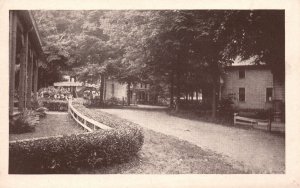 Vintage Postcard 1920's Trees Plants Road House Scene Rural Country